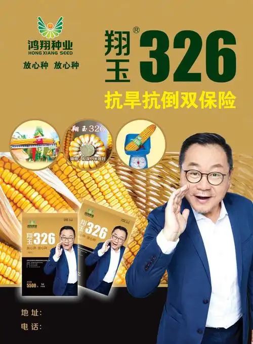 鸿翔种业最新品种 翔玉326