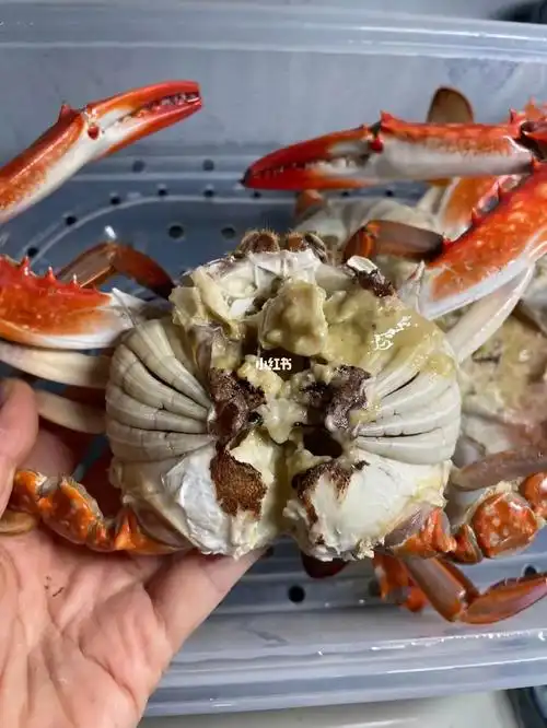 野生梭子蟹 中公蟹