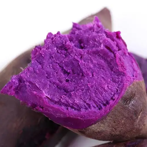 紫薯新鲜10斤沙地现挖紫罗兰番薯农家自种紫色番薯