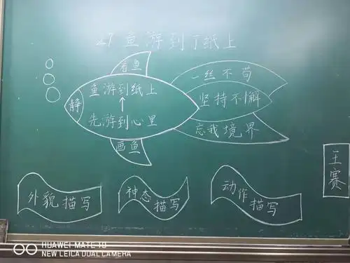三尺讲台育桃李,一支粉笔写春秋——记环城小学青年教师板书设计评比