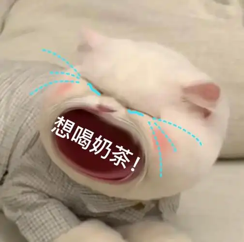 想喝奶茶大嘴猫猫咪表情包