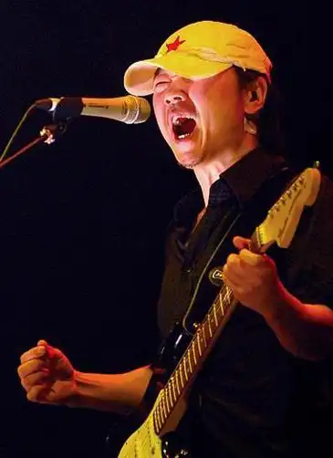 盘点近年电视上的摇滚音乐人