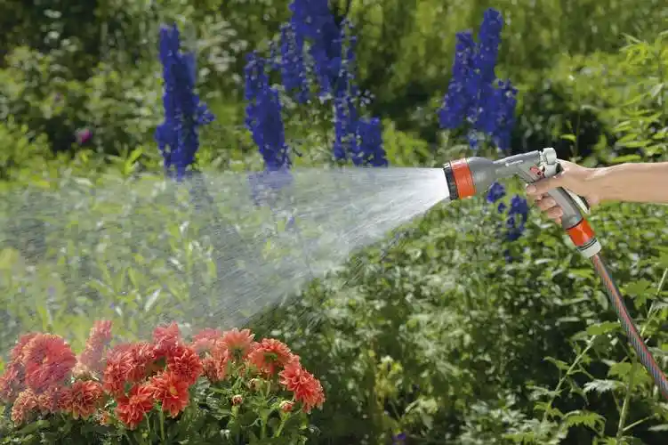 天天给花浇水,怎么反倒"面黄肌瘦"了?