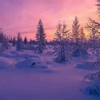 大自然雪景图片头像 使天地溶成了白色的一体