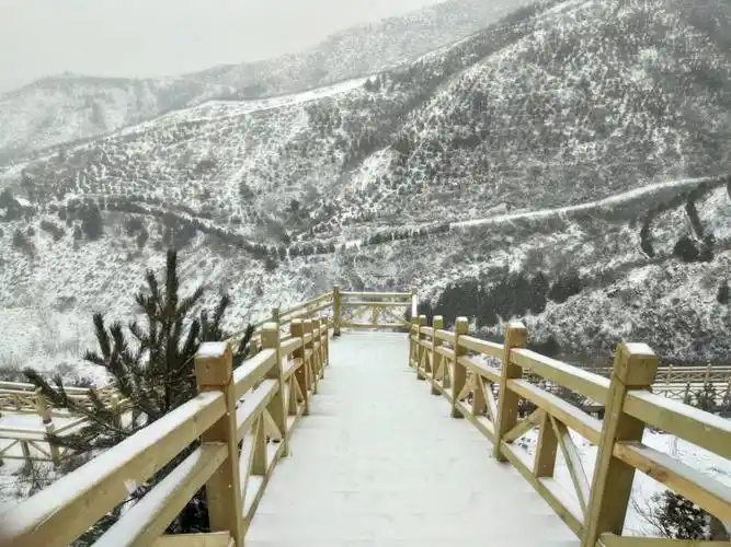 最美张家口雪景