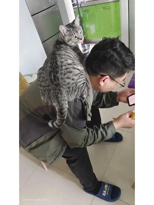 家庭地位一目了然