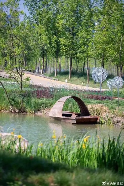 合肥市包河区磨滩旅游度假区项目迎来了新的进展,帐篷营地,森源秘境