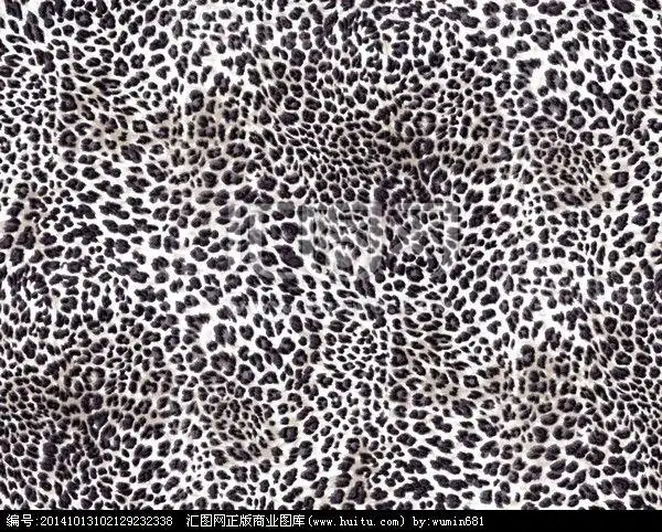 豹纹图案