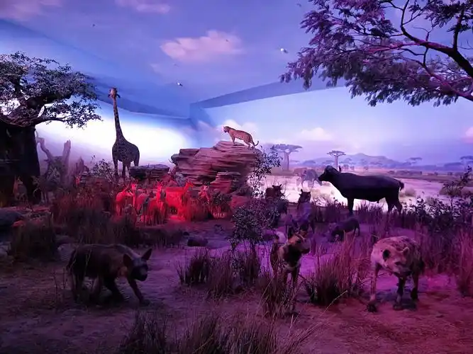 7.31天津自然博物馆