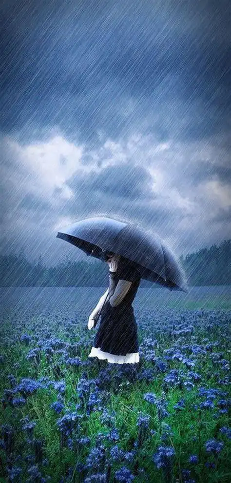 一个人淋雨的伤感图片大雨淋湿的照片2022已更新今日推荐