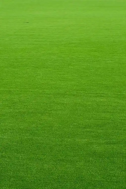 小清新绿色草坪桌面背景图片素材分享