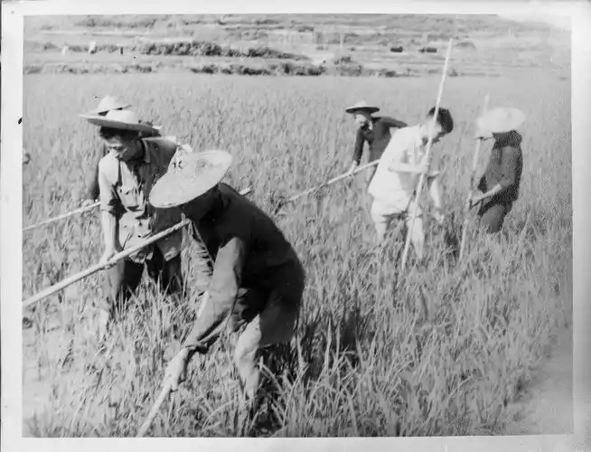 历史影像:20世纪50年代光泽照片