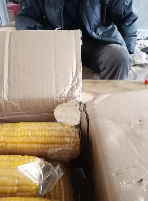 网购玉米货到后发现被老鼠给"啃"了