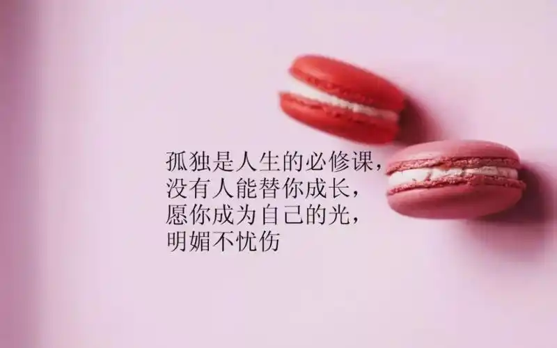 简短走心的心情句子(句句深入人心的经典句子)