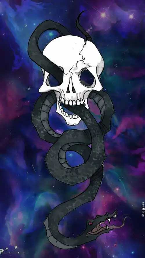 阴森恐怖骷髅头高清另类手机壁纸1080x1920图片集(10)