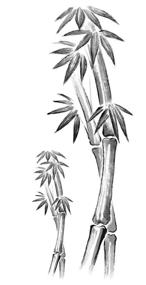 简笔画zhuzi简笔画竹林视频竹子简笔画3简易竹子简笔画竹卷的简笔画