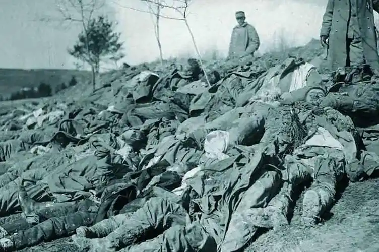 "杜甫的《兵车行》所描写的就是那种尸横遍野的凄惨景象.