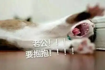 老公回家表情包 - 老公回家微信表情包 - 老公回家qq表情包 - 发表情