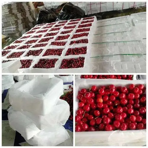 樱桃保鲜冷库安装 樱桃如何在冷库贮藏保鲜