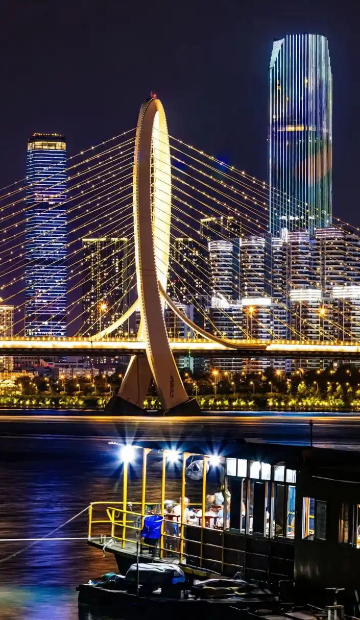 欢迎第一批小东北虎来柳州旅游 旅游的夜景真的很美 柳州是一座充满