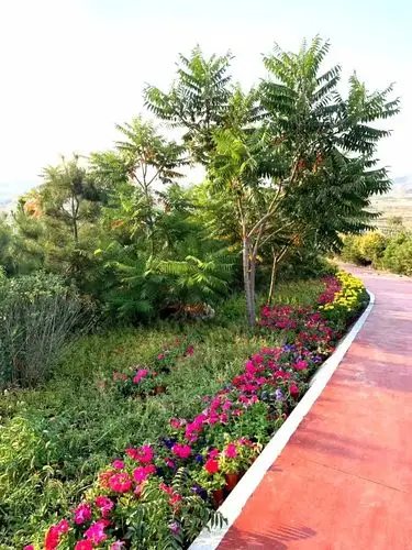 山体公园实拍图