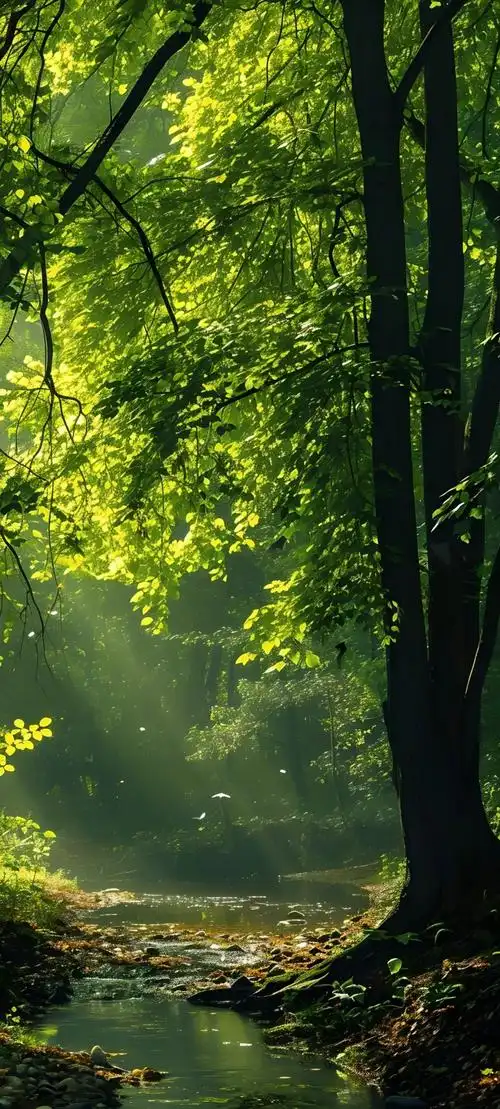 手机壁纸绝美风景壁纸1电量也要换上