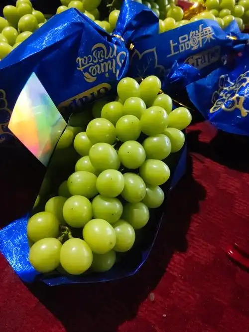 家里种葡萄的快乐