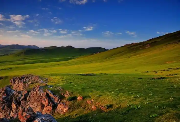 大草原放羊的风景图片