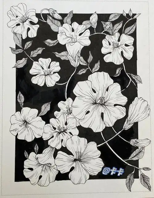 环境设计  #大一  #平面构成