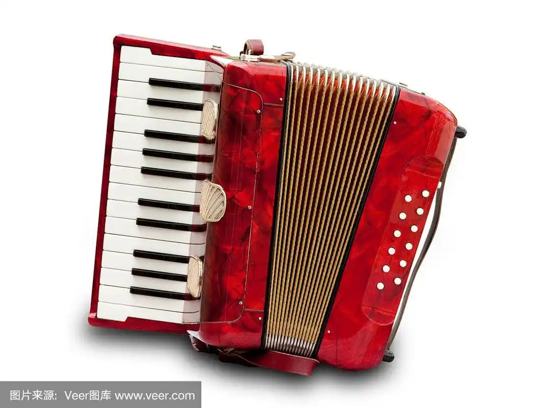 手风琴