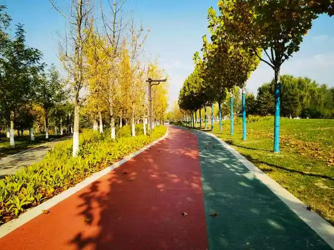 秋日渭河湿地公园