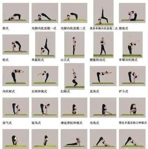 4,图片包括下列瑜伽体式名称:25种瑜伽体位