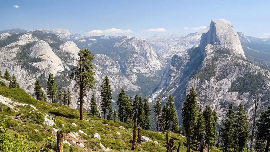 原始森林高清电脑桌面壁纸
