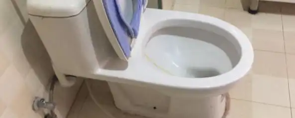 马桶里的蛆是哪儿来的