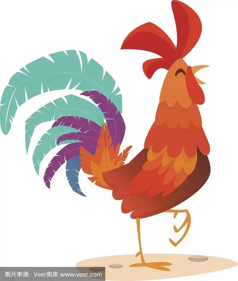 公鸡卡通.插图贺卡设计