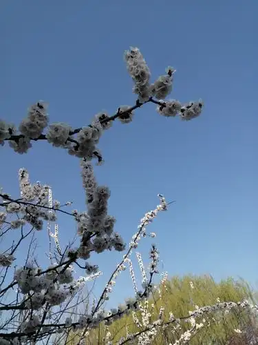 春回大地,万物复苏,春暖花开