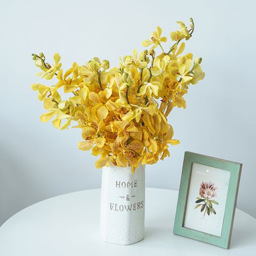 一树|泰国进口洋兰 千代兰 万代兰水养插花 云南基地直发顺丰空运