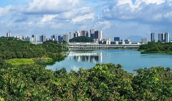 光明区领导带队"行走光明"督导检查区防洪备汛各项工作