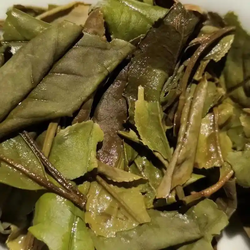 白茶·2020年春·荒野寿眉.白茶素有"一年茶,三年药,七 - 抖音