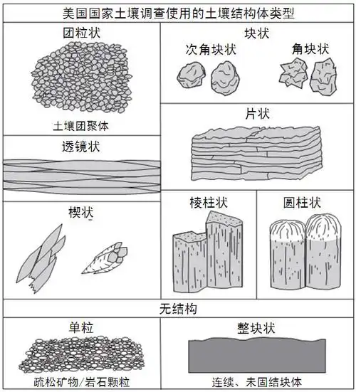 土壤结构体类型