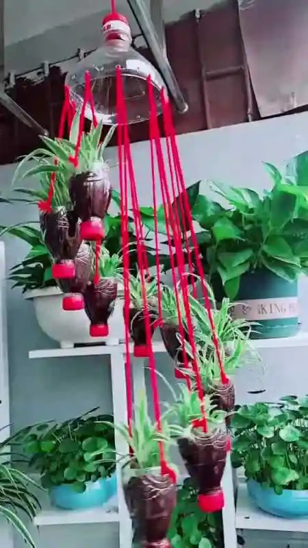 用矿泉水瓶做个简单漂亮的吊兰风铃.