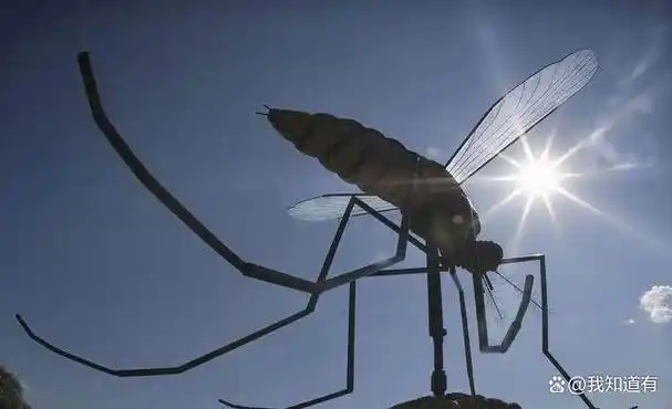九成人不懂蚊子天敌是啥学会这个土方法消除蚊子
