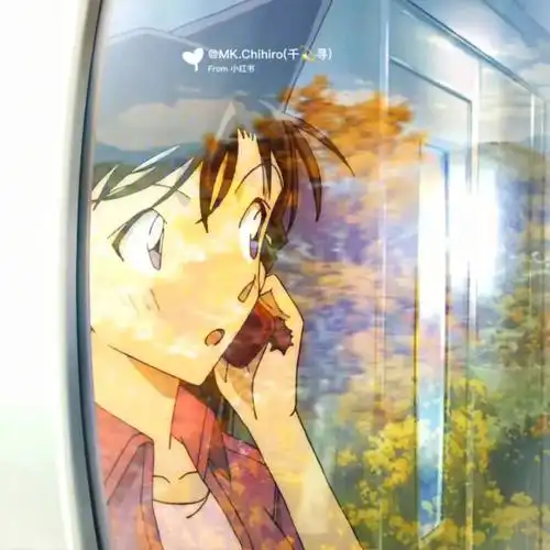 新兰  #名柯  #毛利兰  #专磕新兰,快新,快青和德哈,樱狼的少女@椿殚