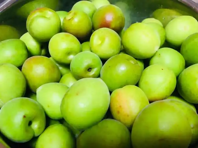 青梅煮酒论英雄. 郭里人家拜扫回,新开醪酒荐青梅.