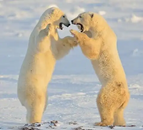 向前一步处处都是惊喜与意外