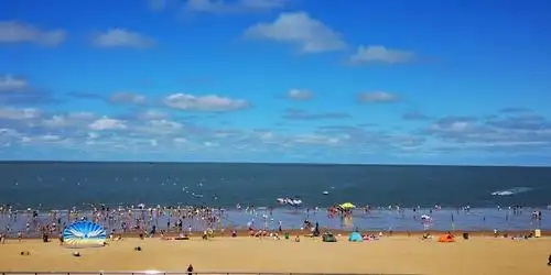 多美的海边:金色的沙滩,湛蓝的海水,蓝蓝的天空,悠悠的白云,还有快乐