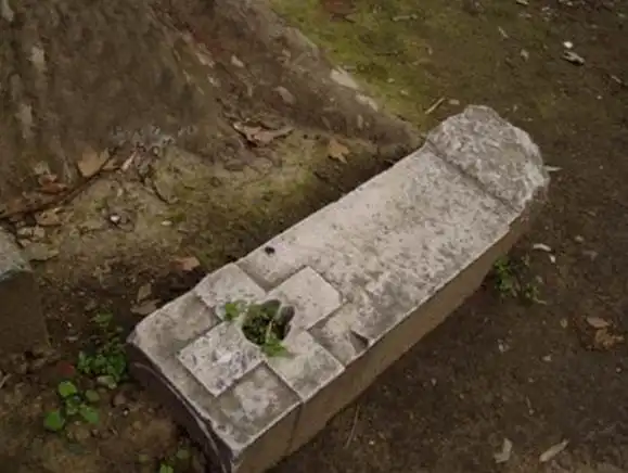 汪精卫坟墓被炸毁胆大士兵围了上去就算见惯死人也心肌梗塞