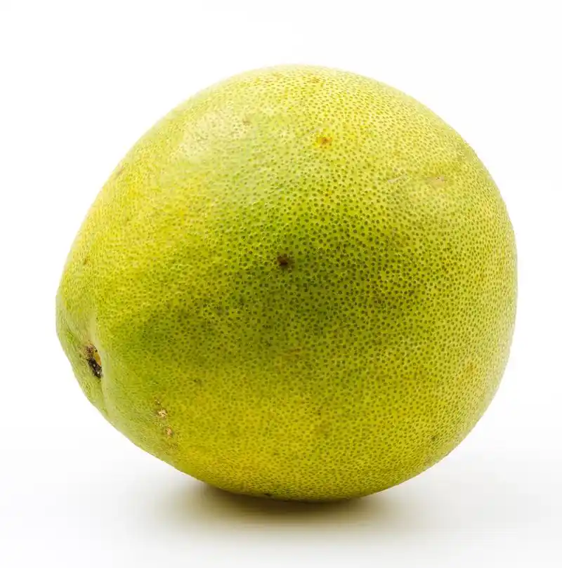 绿色葡萄柚,孤立在白色背景上的绿色葡萄柚