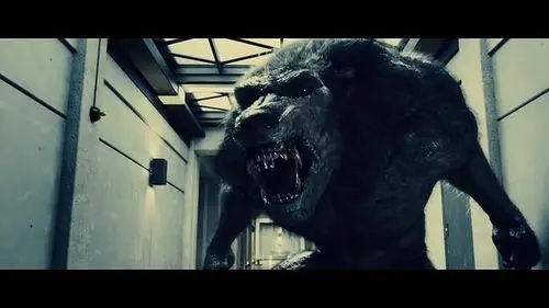 展开全部 黑夜传说4?