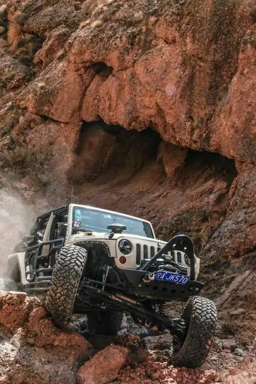 为了一棵树,他在虎克把那台爆改牧马人干翻了